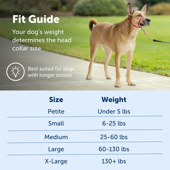 PETSAFE Gentle Leader Head Collar Stops Pulling Jumping Small up to 25lbs Black - Picture 12 of 14